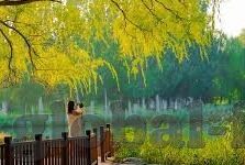 球控比分即时足球比分-球控比分，解锁足球观赛新体验的即时比分神器